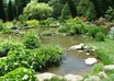 answer any plant,garden or pond question
