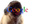 create you a pug puppy/dog licking your logo video advertisement