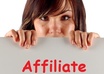 compile a list of 10 high paying affiliate programs in your niche small1
