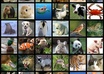 record myself making any animal noise of your choice for 30 seconds