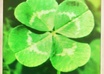 send you good luck for anything you want