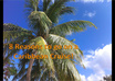 spruce up your PowerPoint presentation
