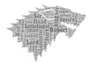 design a professional tagcloud word art you can use to promote your business, website, CV, etc