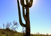 hike in the ARIZONA desert with your message and take 2 great photos