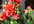 write one blog post, max 250 words,