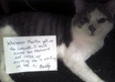 take a pic of my cat Hungry Buddy with your sign and post on his Facebook page