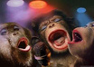 sing a song in urdu that will make you laugh as hell