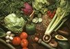 supply you with a Wordpress Website on Organic Gardening