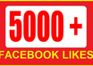 give you 5,000++ Real [PERMANENT] facebook likes or fans to your facebook fanpages all likes deliver within few hours