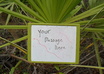 take 10 different pics of your message on a whiteboard in a forest/woods setting