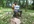 make funny video of crazy boy promote your website,birthday wish or any message
