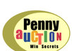 send you the 38page book Penny Auction Win Secrets showing you a powerful way to buy gifts and Electronics For Yourself and Others small1