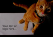 get my cat kitten to pose with your text message or logo as a still photograph small1
