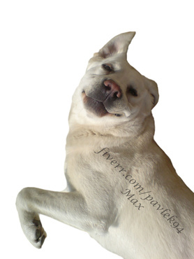 alt_text.html_safe