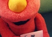 take 10 pictures of my Elmo doll