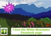 promote you 55+ Canada to your Facebook fan page just within 24hrs