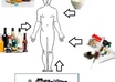 analyze your medications whether Rx or recreational and environment as well as temperature I shall give you a detailed interactions summary