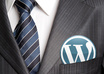 customize your Wordpress theme or fix plugin error