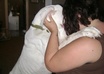 perform animal or pet reiki healings
