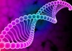 help to do your biology HWs