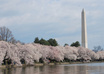 help you find an apartment in the Washington, DC area