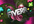 make cute logo intro