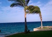 answer 10 questions about Cozumel