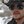 swan_workman