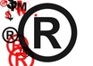 create a brand concept report,new or review,