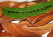 write your message on the leaves