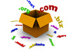 help find a Domain name