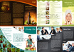 design brochures,flyers,rackcards,postcard in word/publisher/powerpoint format small1