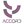 accord