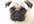 fulfill a request for bhodges