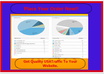 send 500+ USA and 1000 WorldWide Real Unique Visitors to your site