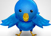 get you 500 followers to your twitter account