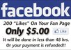 guarantee you 200 Likes to your Facebook Fan Page In Less Than 48 Hours