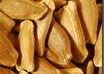 send you 20 assorted birdhouse gourd seeds