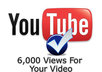 generate 6,000 monthly views for your YouTube video for 1 year