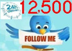 add 10,000 REAL Looking Twitter Followers To Your Profile In 24h, No Drops small1