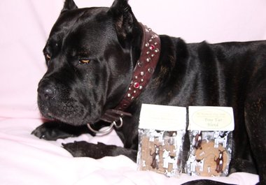 suggest your business to my 700 dog loving Facebook friends big1