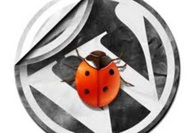 fix bugs related to wordpress or thesis theme big1