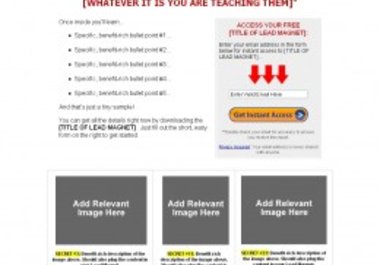 get you Google Friendly Landing Page Including Training Video big1