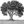 mrolivetree