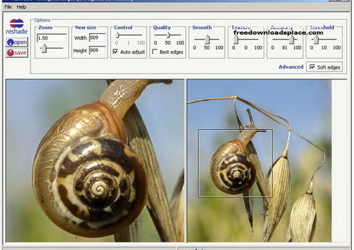 resize up to 20 images big1