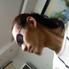 dino_stark
