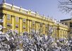 send you a postcard from VIENNA, Prater or Donauturm