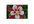 send a beautiful flower postcard to you