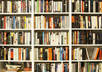 give you a professional review of your book cover small1