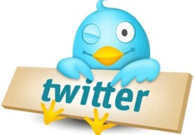 add more than 800 targeted followers to your Twitter account big1